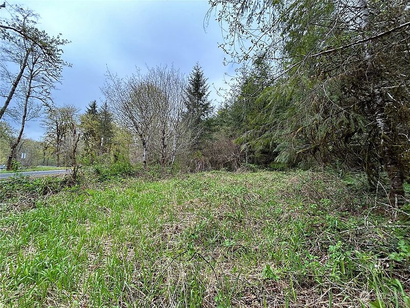 3rd image of 0 Lot 4 Abernathy Creek Road