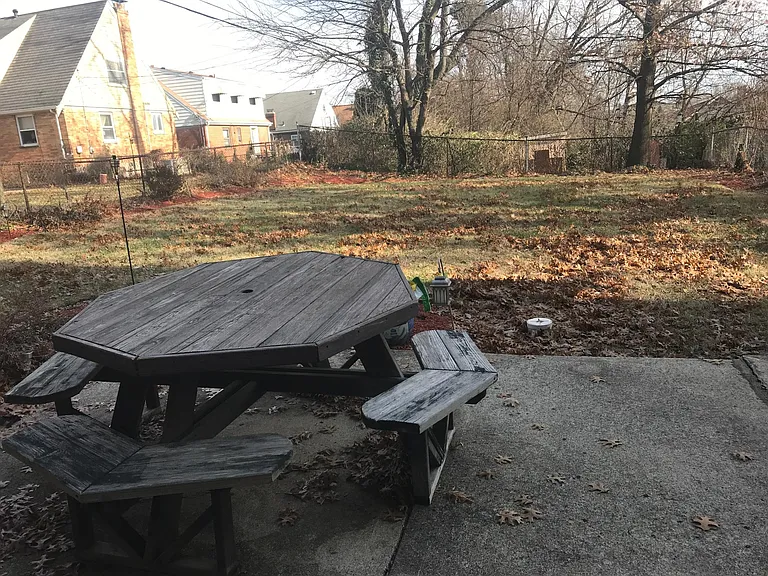 Backyard/ Picnic area