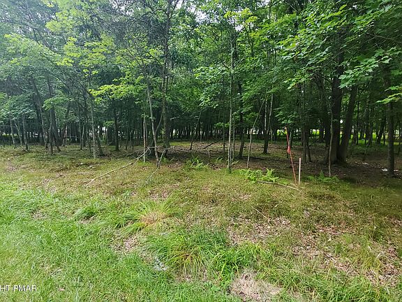 5th image of 95 Pine Ridge Dr W