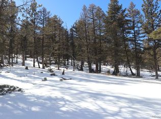 2120 Bellows Rd #720, Hartsel, CO 80449