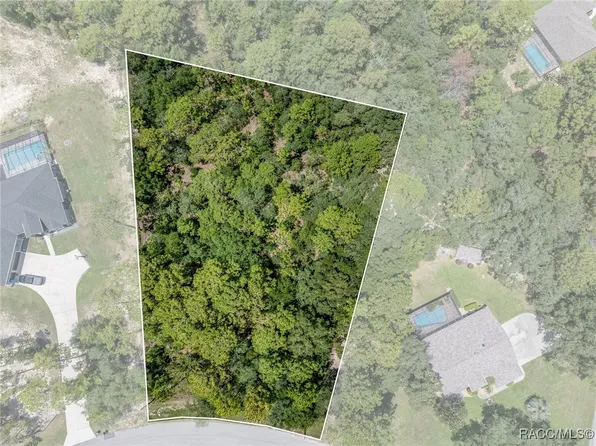 5184 N Princewood Dr, Beverly Hills, FL 34465