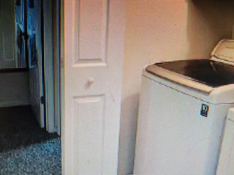 5409 Branchwood Way — Photo 27