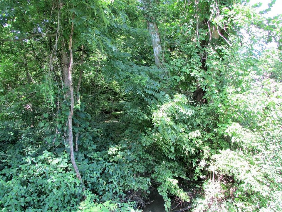 Tbd Powder Branch Rd, Elizabethton, TN 37643 Zillow