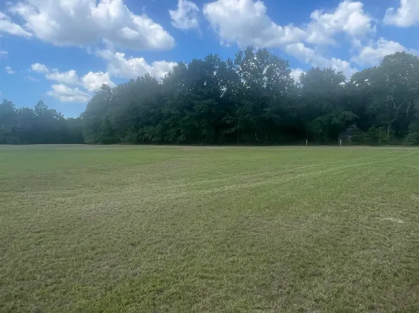 1529 Elbert Taylor Rd, Pelion, SC 29123