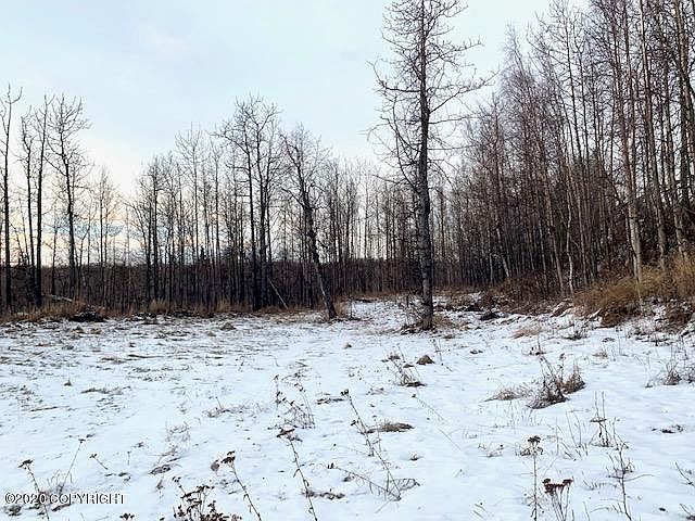 2nd image of 2850 E Old Matanuska Rd