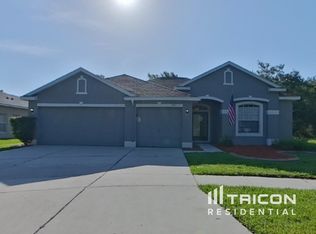 1421 Emerald Hill Way, Valrico, FL 33594