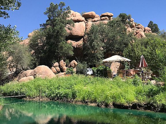 Pond view