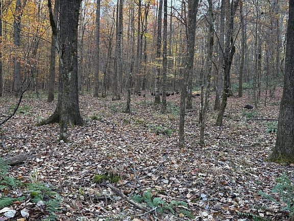 4th image of County Road 413