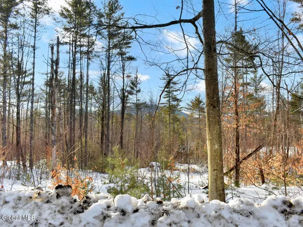 L91 Highview Lane Lot 7, Wevertown, NY 12886