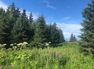 40985 Solstice Dr, Homer, AK 99603