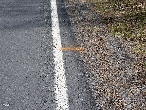 4th image of LOT 4 Roosie Rd