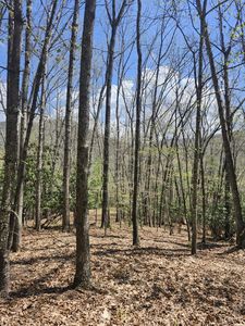 270 S Trailside Ln, Hillsboro, WV, 24946