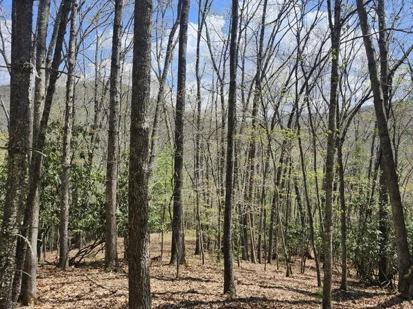 Trailside Ln, Hillsboro, WV 24946