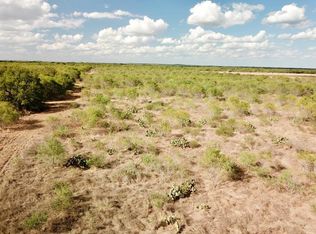 9073 Fm 2200 S, Yancey, TX 78886
