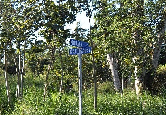 2nd image of Mohala St Lot 34