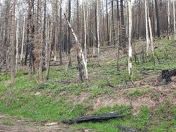 2nd image of 2006 Strauss Dr