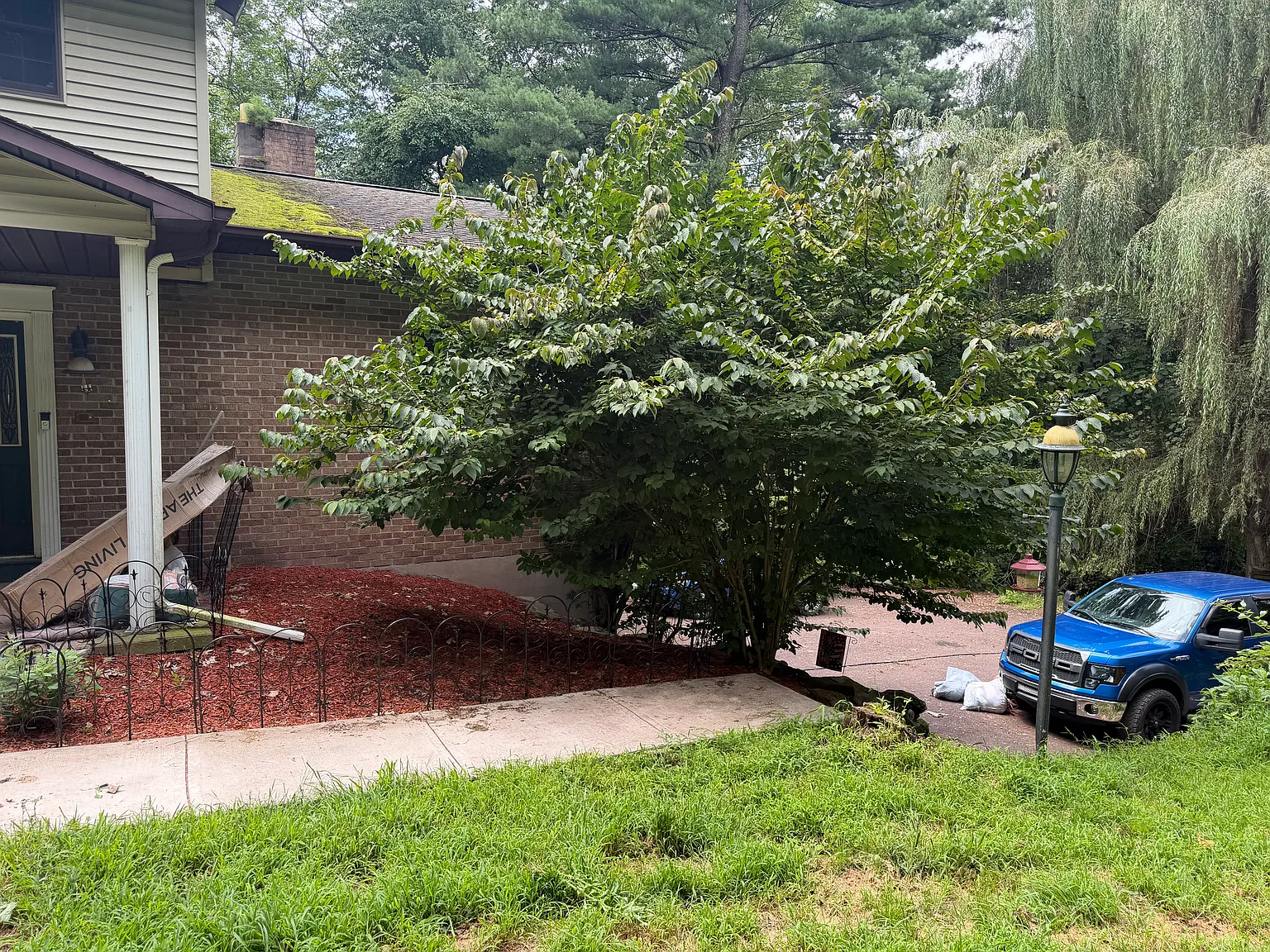 5 bed, 1988 sqft, $3,000 — Photo 2