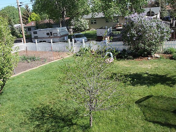 3rd image of 1133 E Curtis St