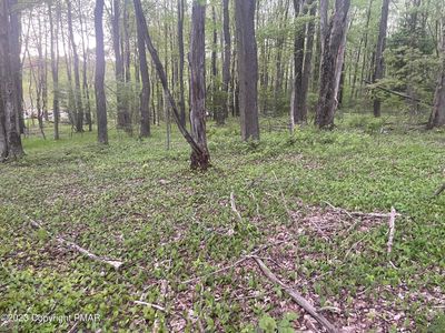 348 Near Rr, Lake Ariel, PA, 18436