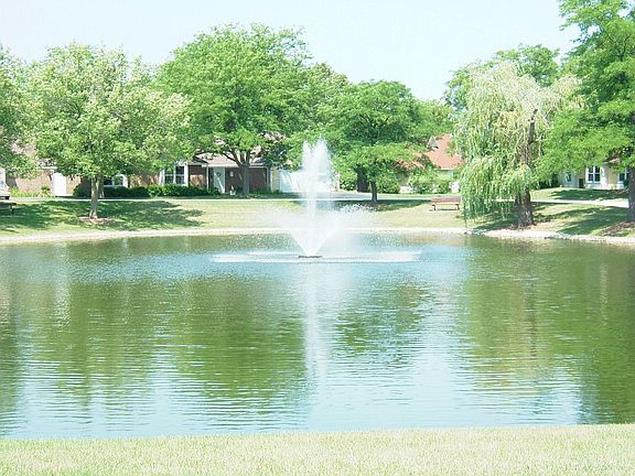 Pond