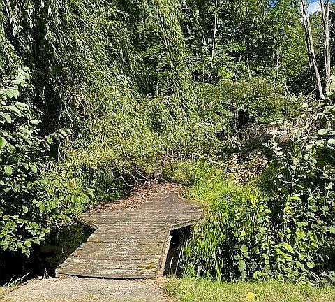 bridge over creek 
