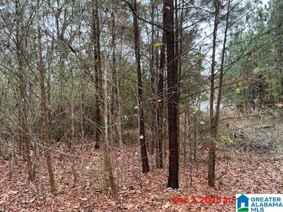 0 Grimes Rd, Pelham, AL, 35124