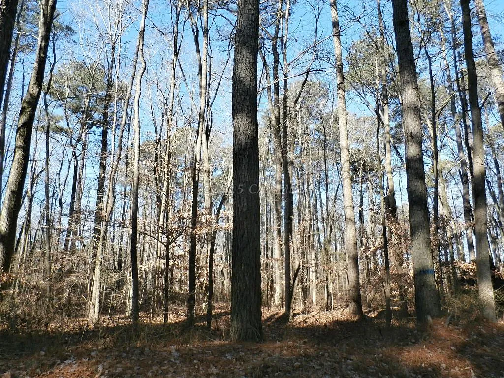 10811 Jerusalem Rd photo 1
