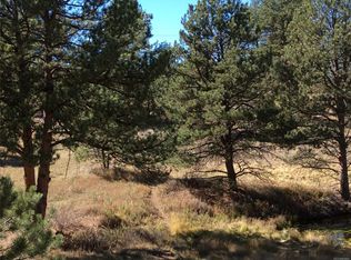 407 Phoebus Dr, Florissant, CO 80816