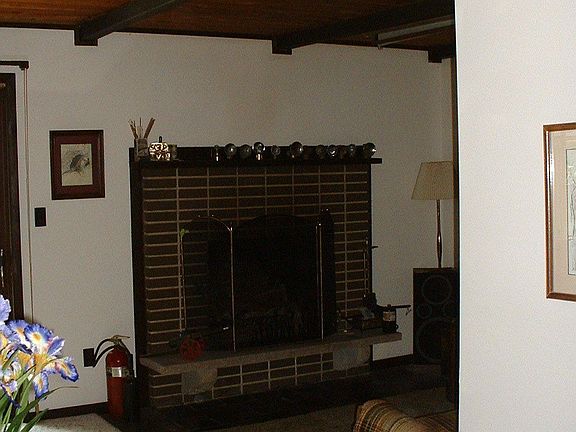 Woodburning Fireplace