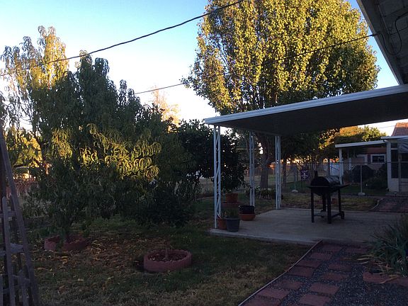 Peach, orange, mature trees