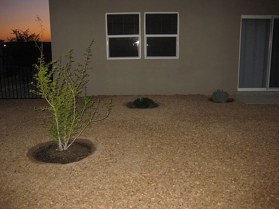 Back yard at Sunrise