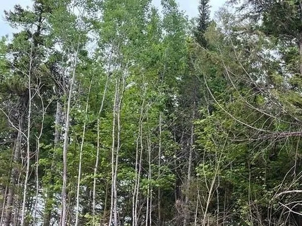 700 Stanley St #24, Coverdale, NB E1J 1E8