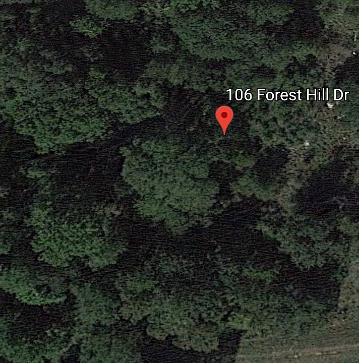 2nd image of 106 Forest Hill Dr