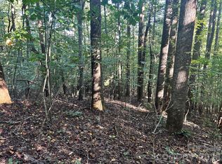 Mount Hebron Rd #36, Hendersonville, NC 28739