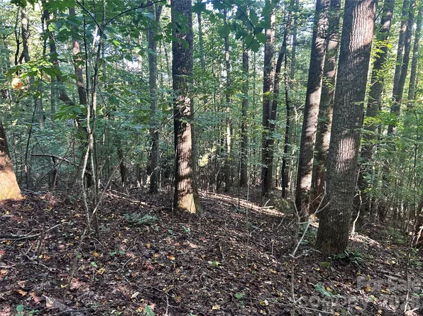Mount Hebron Rd #36, Hendersonville, NC 28739