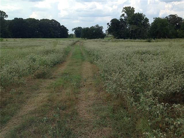 2nd image of 20056 County Road 452