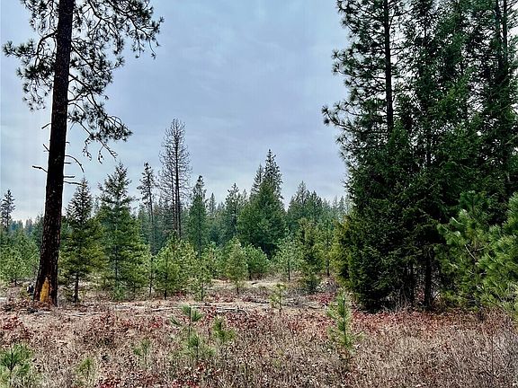 2nd image of 0 40TBD Hwy 25 N