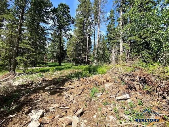 LOT 25 Lot 25 Other, Lead, SD 57754