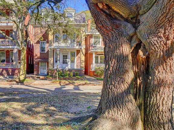 Tree-lined street of Graydon Ave.