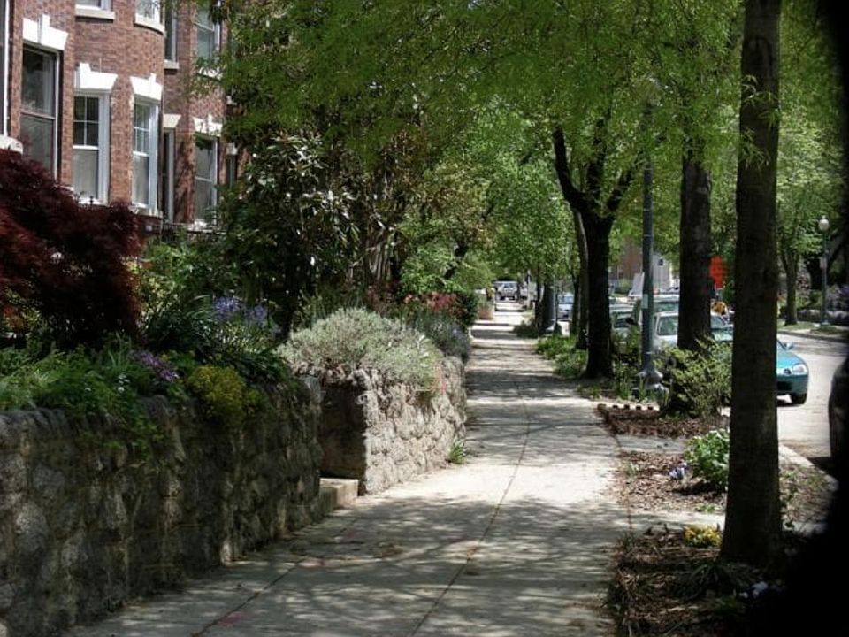 Mt Pleasant streetscape (where I usually park)