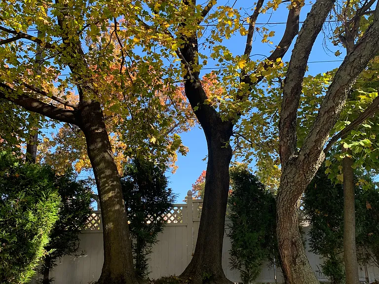 22 Delta Ter — Photo 16