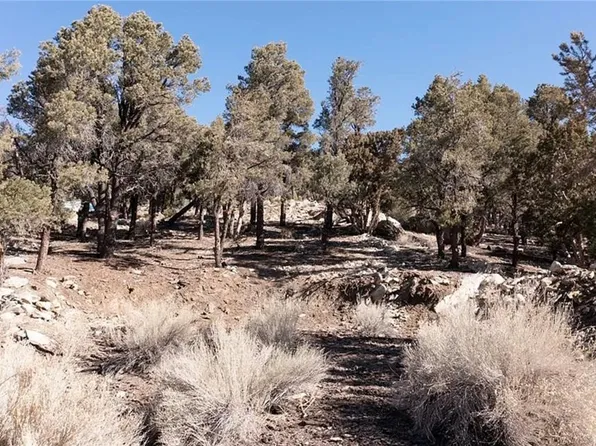 0 Lakeview Dr, Big Bear City, CA 92314