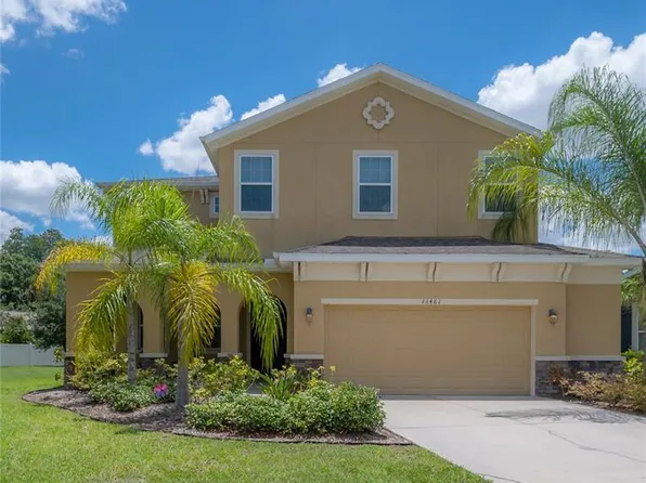 13461 Canopy Creek Dr, Tampa, FL 33625