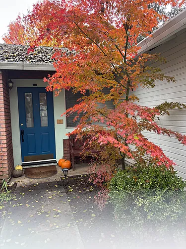 771 Victorian Park Dr Photo 1