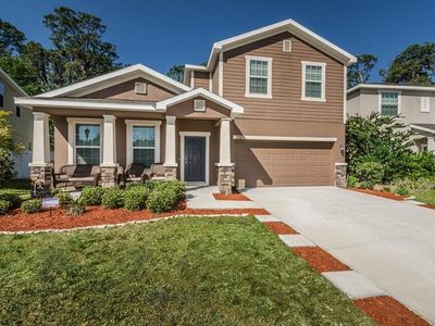 12211 Swaying Moss Cir, Riverview, FL, 33569