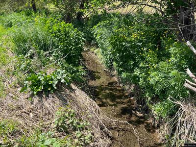 PARCEL Four Spring Saunders County Acreages Rd, Yutan, NE, 68073