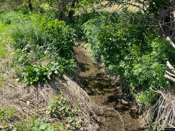 PARCEL Four Spring Saunders County Acreages Rd, Yutan, NE 68073