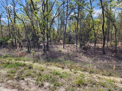 0 SW 98th St, Dunnellon, FL, 34432