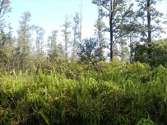 4th image of Sugarcane Ln