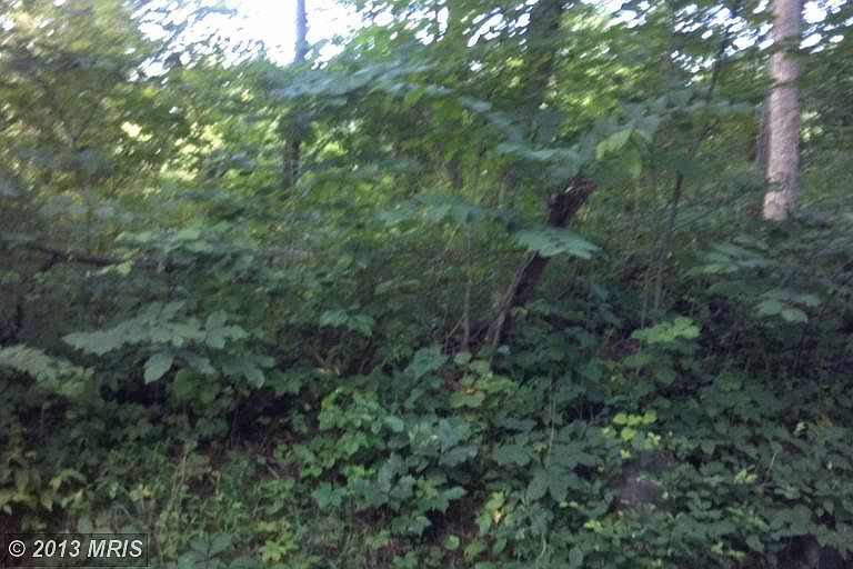 2nd image of Sam Mason Rd